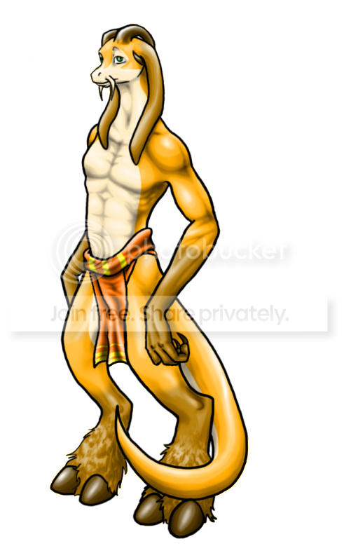 User Image